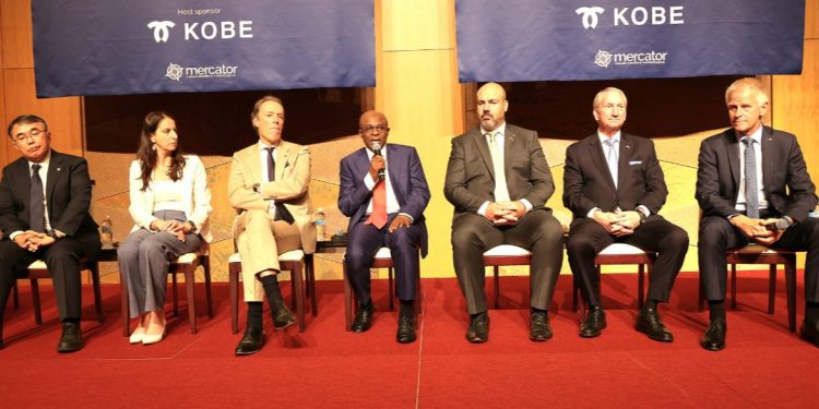 Dantsoho Sets Agenda For African Port Growth