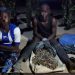 Troops Nab Notorious Gunrunners, Recover Arms in Kaduna