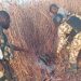 Again Troops of OPHK Neutralise 10 Terrorists, Recover Arms and Ammunition