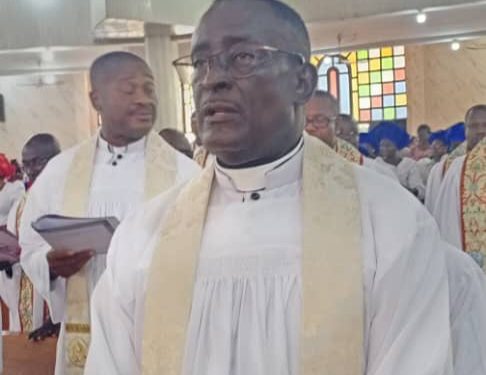 Cleric Prof. Umeifekwem calls for peaceful coexistence among Nigerians