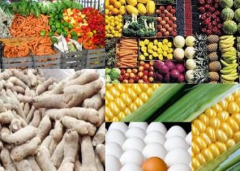Food Security: Kogi’s Community Gears Up For Transformative Agricultural Show 