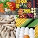 Food Security: Kogi’s Community Gears Up For Transformative Agricultural Show 