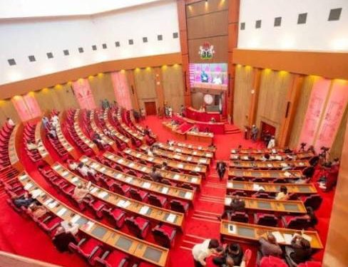 Senate’s Safe Schools Investigation Suffers Set Back Over Security Chiefs’ Absence