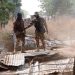 OPHK Troops Press Offensive in Borno, Neutralise Terrorists, More Insurgents Surrenders