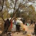 Troops Strike Back: Neutralize Six Terrorists, Freed Kidnapped Victim in Zamfara