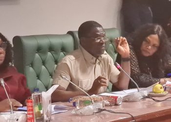 Breaking: NIS DG Shaibu Calls For Immediate Constitution of 17-Mam NSC Governing Board