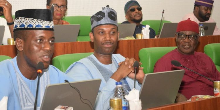 Industry Ministry’s ₦2.72bn Capital Proposal Falls Short, Lawmakers Demand More