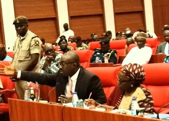 Budget Defence: National Assembly Commends Interior Minister, Tunji-Ojo, Over Major Reforms