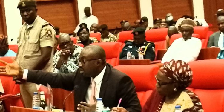Budget Defence: National Assembly Commends Interior Minister, Tunji-Ojo, Over Major Reforms