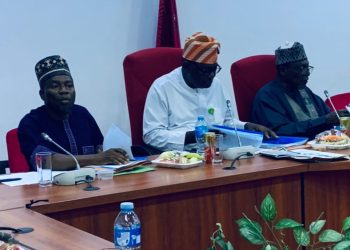 NASS Joint Committee Signals Stronger Legislative Backing For $1 Trillion Economy