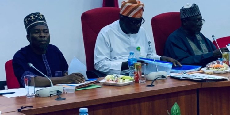 NASS Joint Committee Signals Stronger Legislative Backing For $1 Trillion Economy