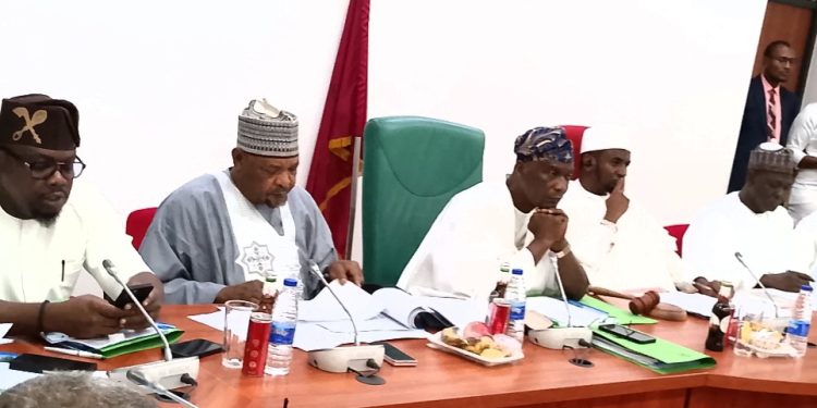 Budget Defence: NASS Not Satisfied With Zero Release of Fund to Livestock Ministry in 2025, Demands Accountability
