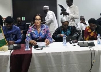Nigeria Committed to Lake Chad Cooperation — Bianca Ojukwu