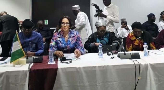 Nigeria Committed to Lake Chad Cooperation — Bianca Ojukwu