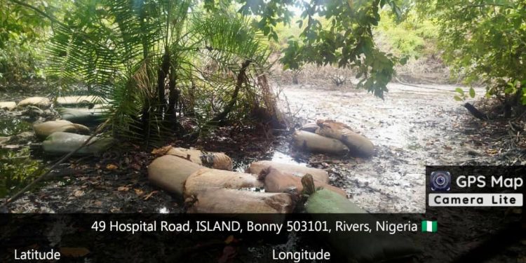 Troops Neutralise Six Terrorists, Arrest 110 Suspects, Rescue Kidnap Victims