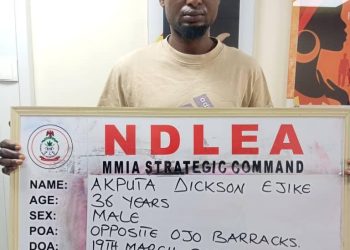 Cocaine Hidden in Dried Fish Heads Uncovered as NDLEA Intercepts Multi-Drug Shipments