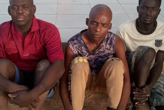 Operation Hadin Kai Troops Crush Terrorists, Thwart Attacks in North-East