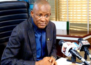 Nigeria Moves to End Raw Shea Exports, Eyes Global Market Dominance