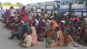 FG Responds to Crisis, Evacuate 1,230 Stranded Nigerians in Niamey