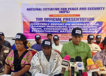 NIPS Applauds Military Progress Against Insecurity, Condemns Politicisation of Security Efforts