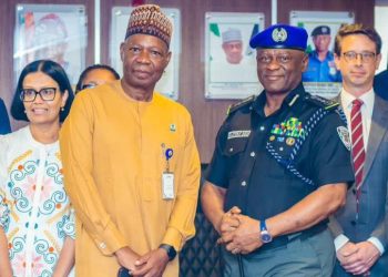 IGP Disu Seeks Global Partnership Support to Drive Police Reforms