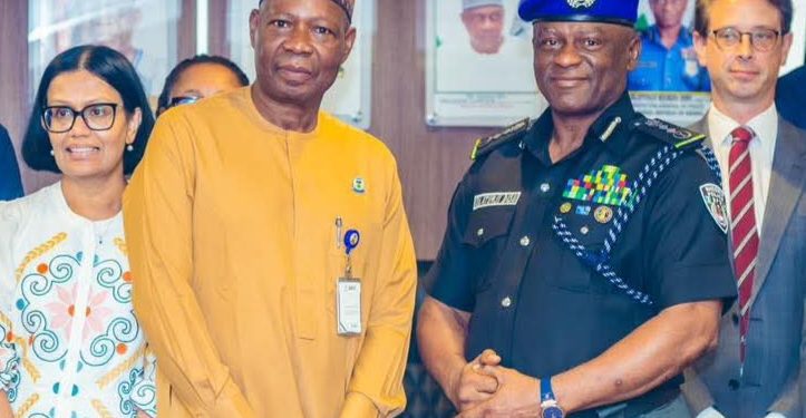IGP Disu Seeks Global Partnership Support to Drive Police Reforms
