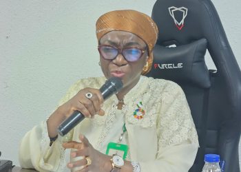 Nigeria, Climate Beyond Borders Caravan Partner to Drive Youth-Led Climate Action in Africa