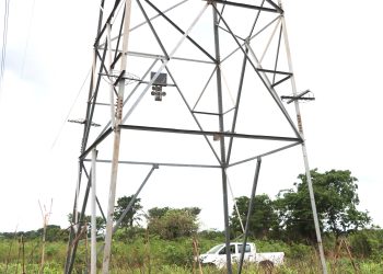 Two Arrested Over Vandalism of Nkalagu–Abakaliki 132kV Transmission Line