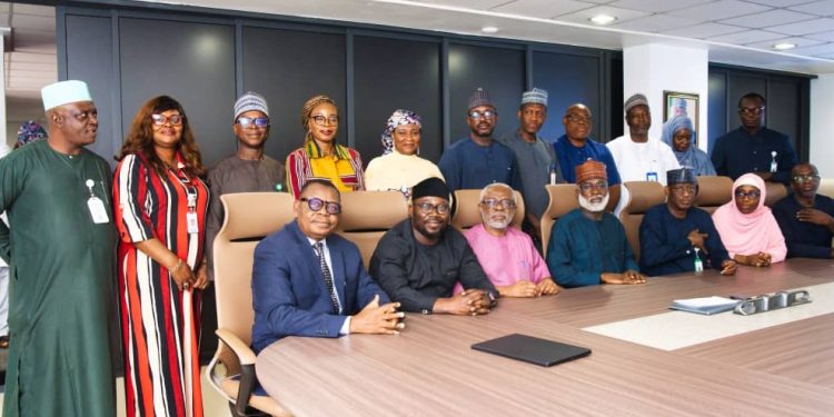 NISO Management, Presidential Adviser on Power Brainstorm on Strengthening Grid Reliability