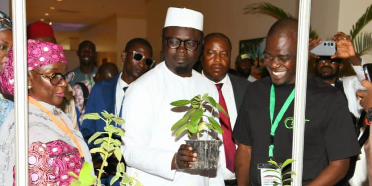 Access to Land, Mechanisation Top FG Agenda as 10 Young Farmers Get ₦1m Grants