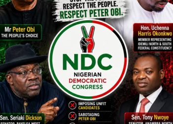The Betrayal of a Movement: How Political Interests Undermined Peter Obi’s Stronghold