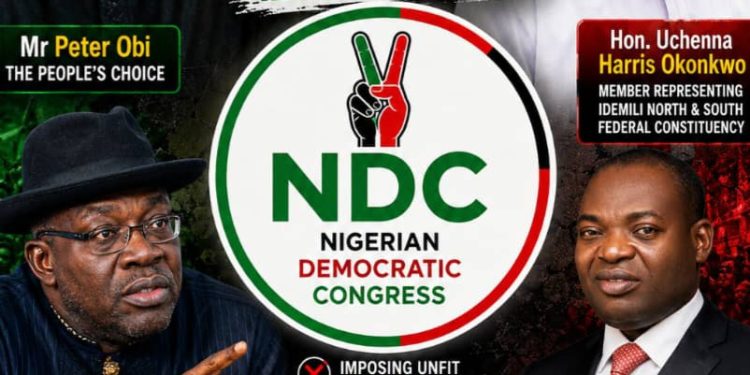 The Betrayal of a Movement: How Political Interests Undermined Peter Obi’s Stronghold
