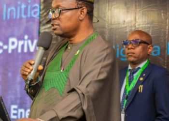 Nigeria Govt Seeks Private Sector Investment to Power Healthcare Faciluties