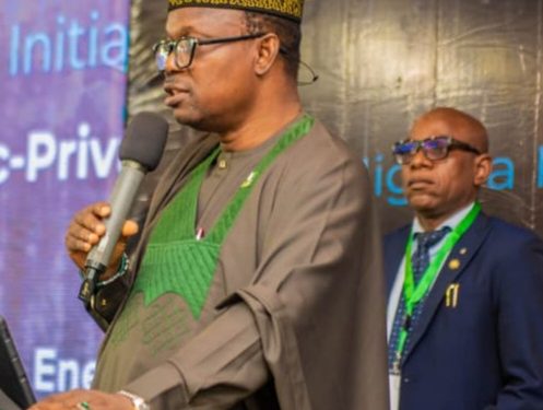 Nigeria Govt Seeks Private Sector Investment to Power Healthcare Faciluties