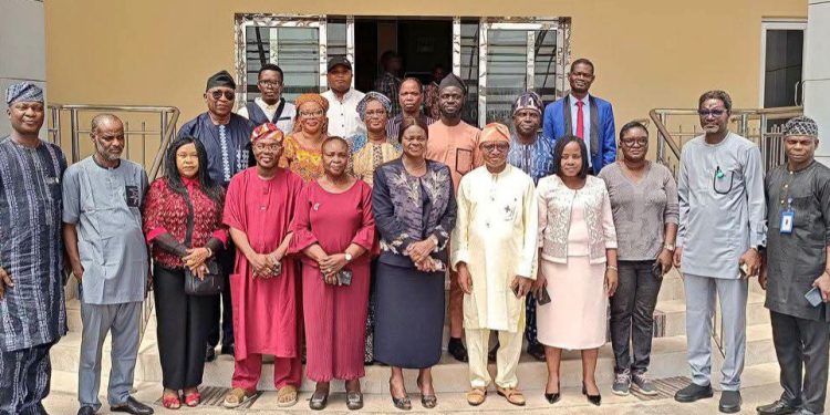 CDS Reaffirms Nigeria’s Committment to Deepening Defence Cooperation With France