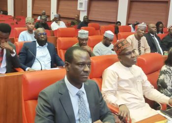 Oyedele Dismisses Claims of Tinubu’s Administration Borrowing N80tn as Senate Queries Nigeria’s Debt Profile
