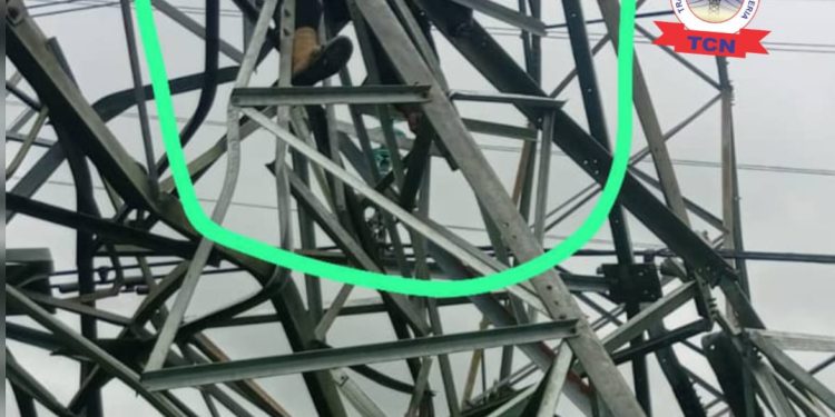 Collapsed Vandalised 330kV Transmission Tower Kills Vandal in Delta