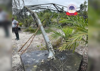 Vandals Strike Again as TCN Announces Collapse of Five Towers on Ikot Abasi–Eket 132kV Line