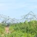 Storm Brings Down 330kV Kainji–Birnin Kebbi Transmission Line as TCN Declares Force Majeure