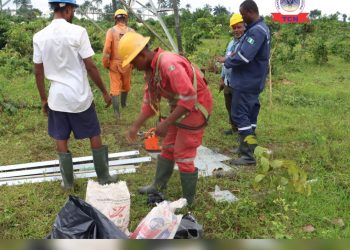 TCN Begins Rehabilitation of Four Vandalized Towers along Afam-IPP – Elelenwo 132kV Line