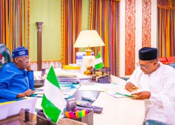 Health Minister Pate Briefs Tinubu on Health Sector Gains, Highlights Progress in Maternal Care, PHCs