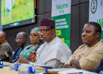 Nigeria Unveils Five-Year Strategic Plan to Eliminate Lead Poisoning