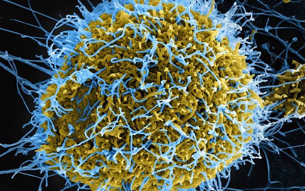 Return of Ebola: Africa CDC, Nigeria Target 2m Community Health Workers by 2030